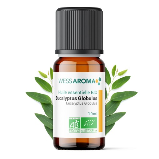 Huile essentielle Bio d'Eucalyptus Globulus