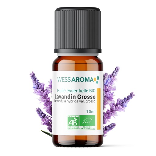 Huile essentielle Bio de Lavandin Grosso