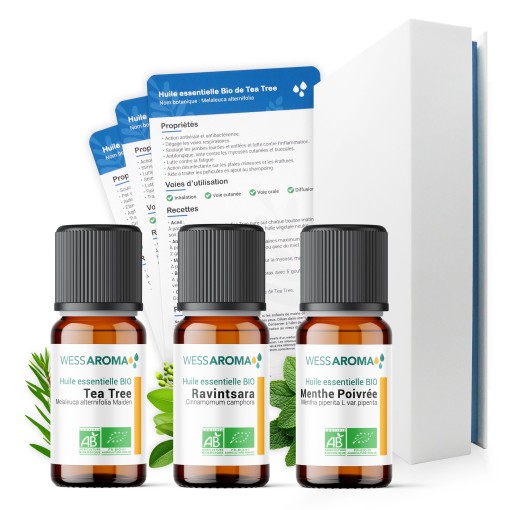 Coffret Quotidien, les huiles essentielles Bio indispensables avec 3 Fiches d'utilisation