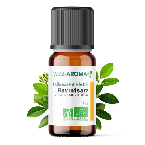 Huile essentielle Bio de Ravintsara