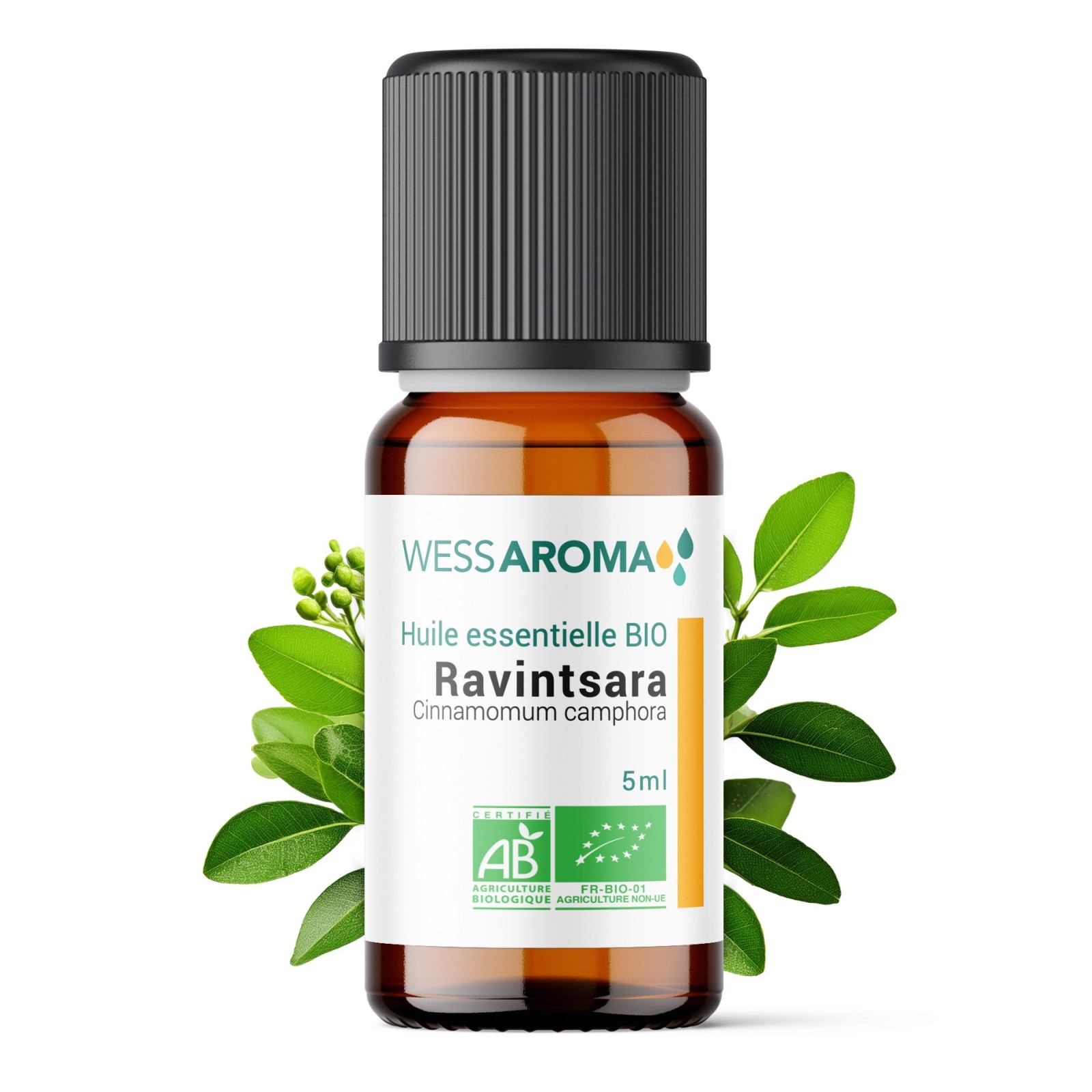 Huile essentielle Bio de Ravintsara