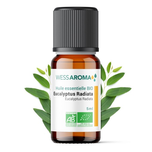 Huile essentielle Bio d'Eucalyptus Radiata (Radié)