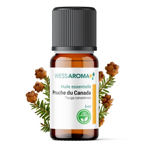 Huile essentielle de Pruche du Canada (Tsuga)