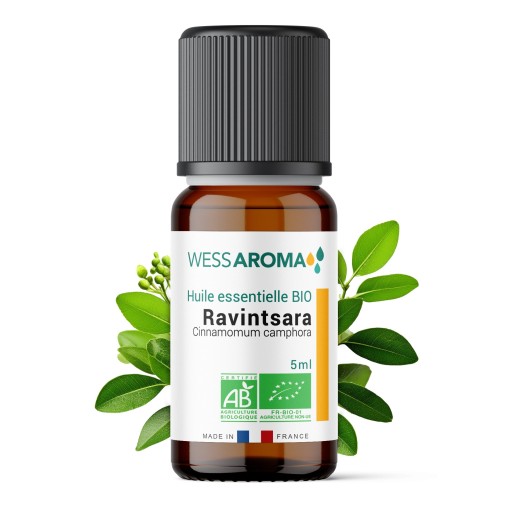 Huile essentielle Bio de Ravintsara 5ml