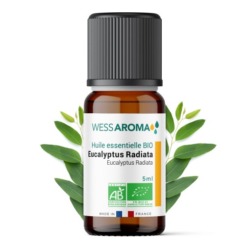 Huile essentielle Bio d'Eucalyptus Radiata (Radié) 5ml