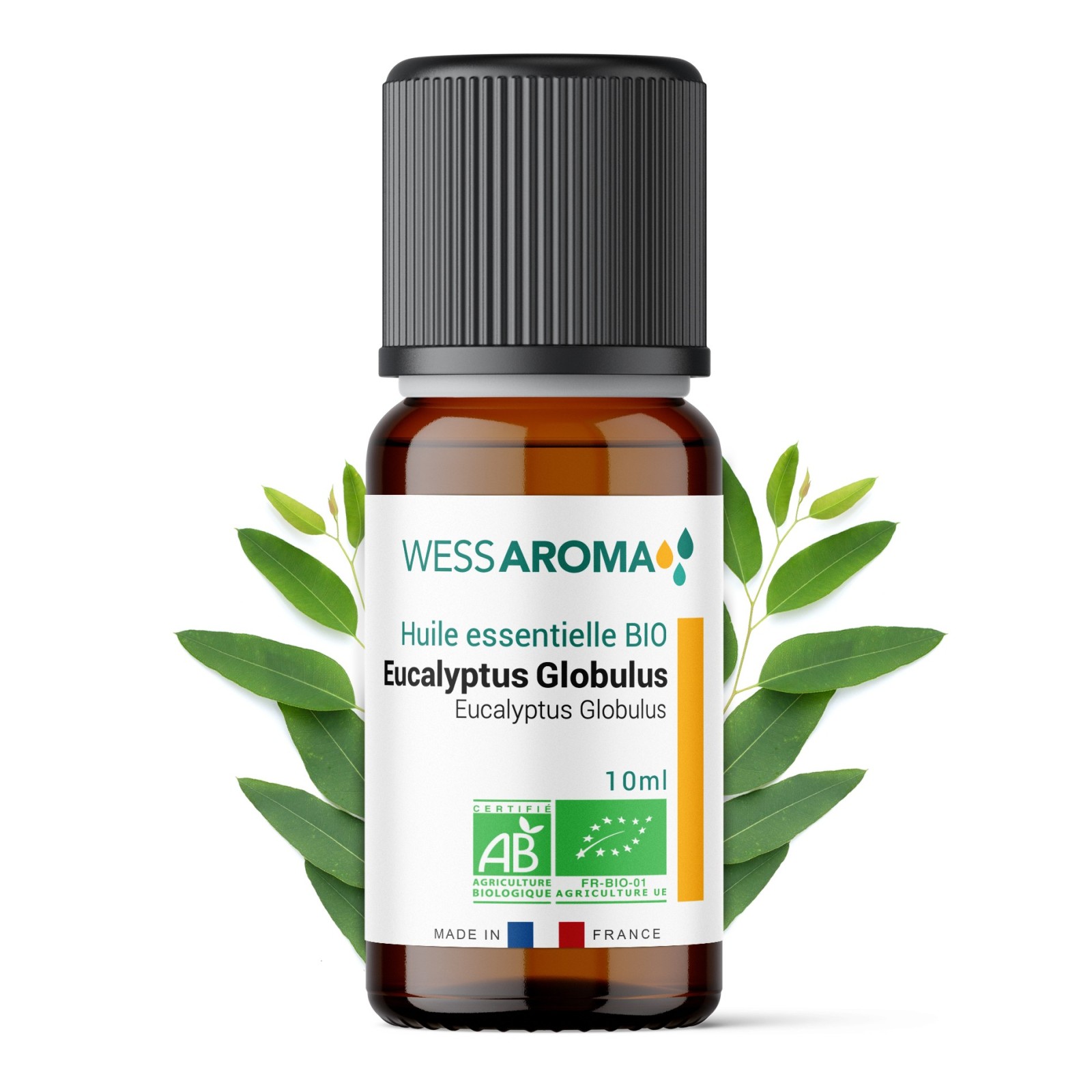 Huile essentielle Bio d'Eucalyptus Globulus