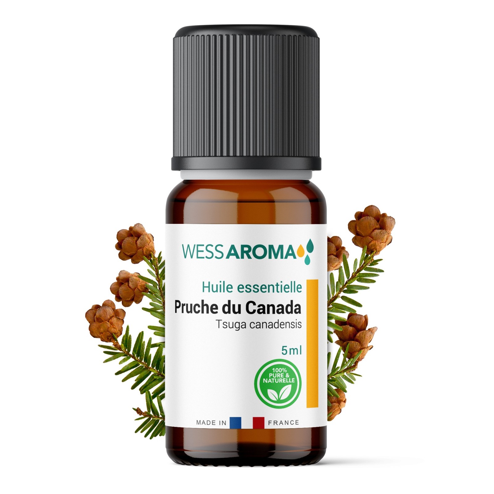 Huile essentielle de Pruche du Canada (Tsuga)