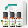 Coffret Diffusion, 3 huiles essentielles Bio + Fiches d'utilisation