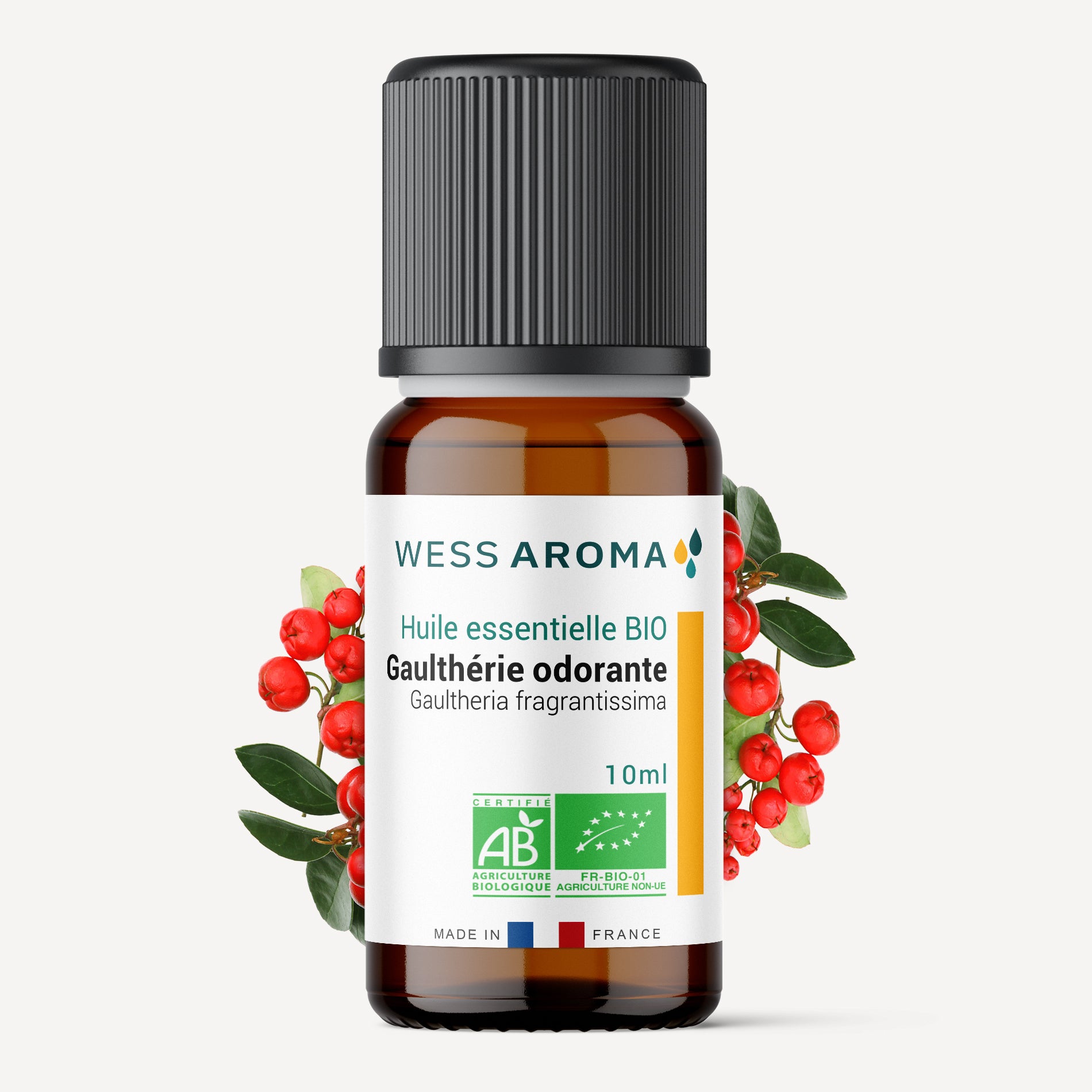 Huile essentielle Bio de Gaulthérie Odorante