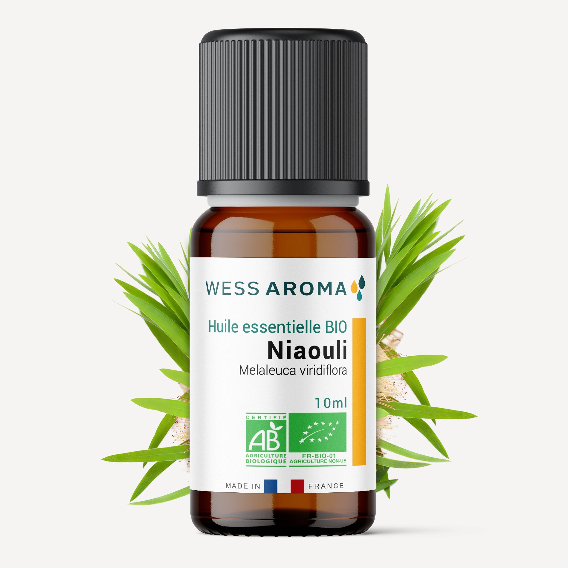 Huile essentielle Bio de Niaouli