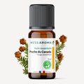 Huile essentielle de Pruche du Canada (Tsuga)