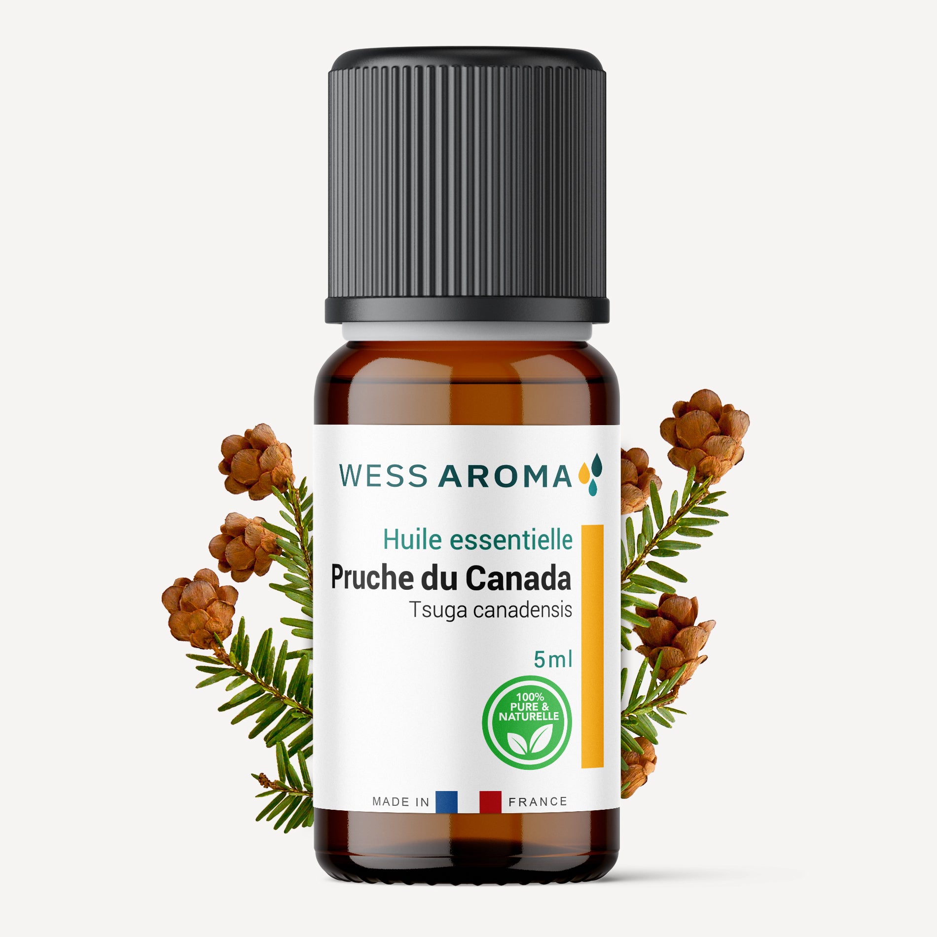 Huile essentielle de Pruche du Canada (Tsuga)
