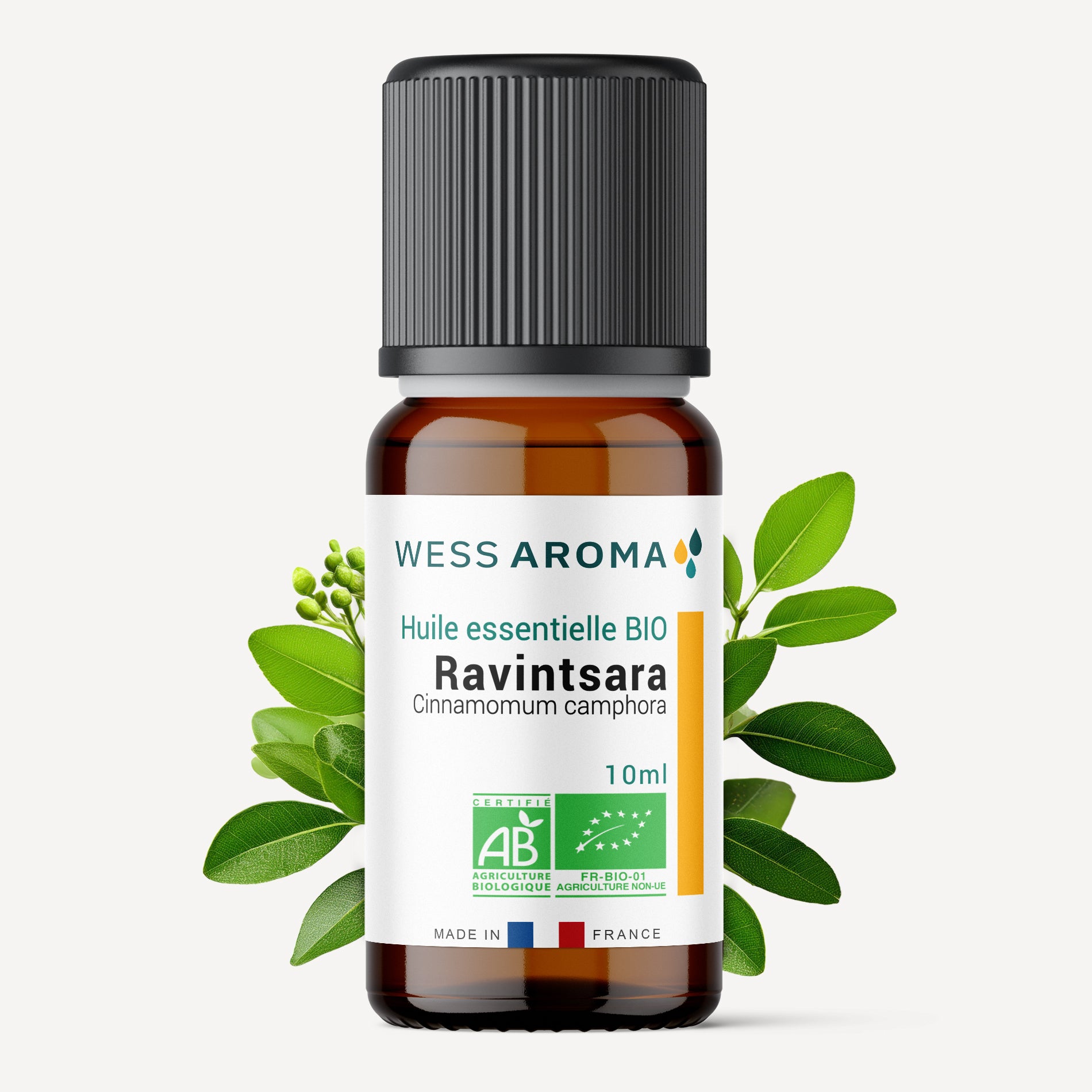 Huile essentielle Bio de Ravintsara