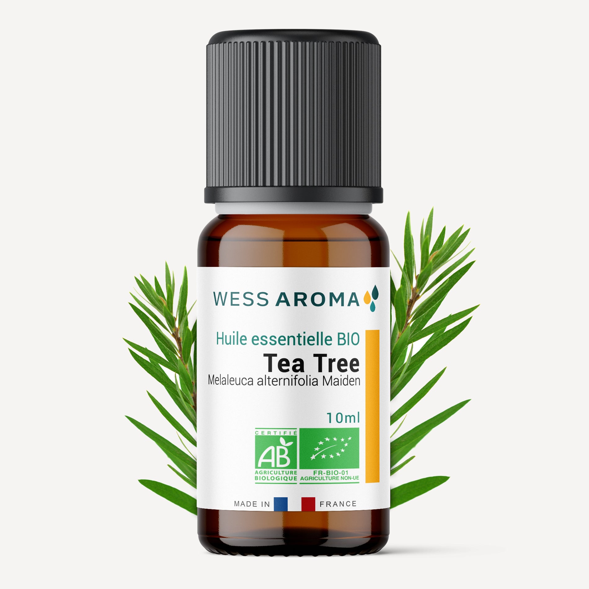 Huile essentielle Bio de Tea Tree (Arbre à thé)