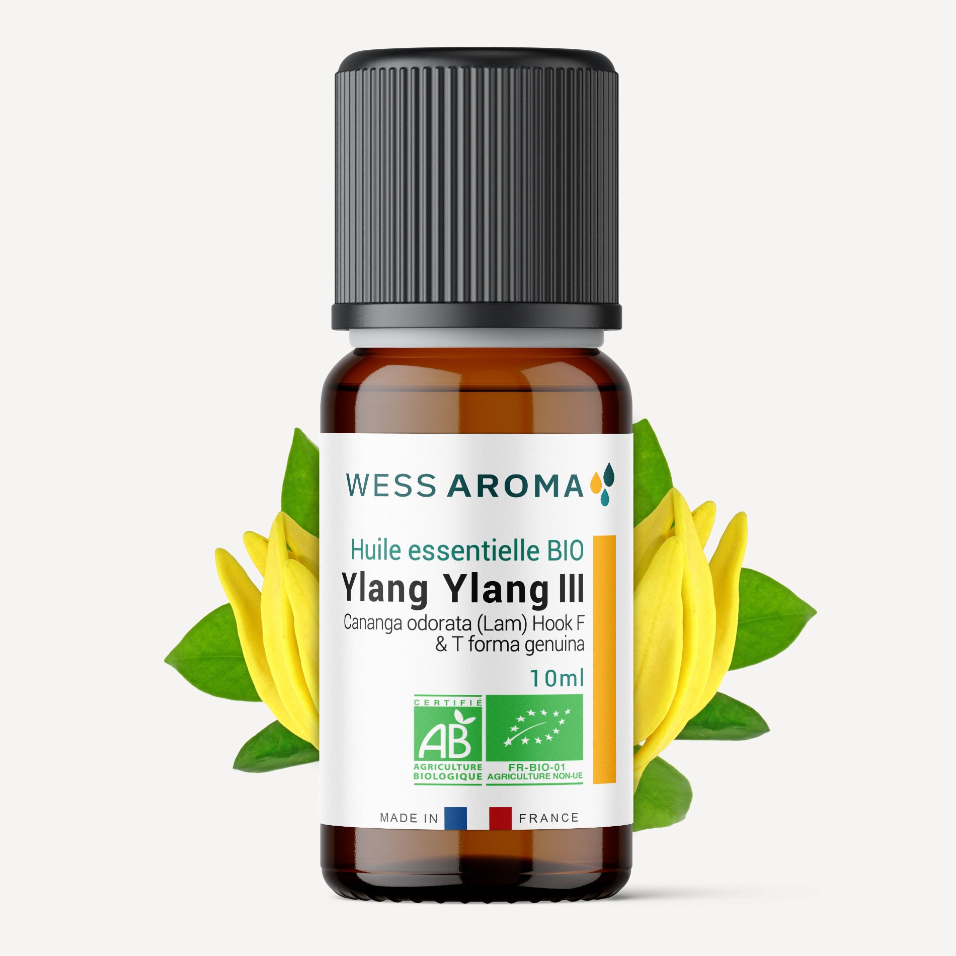 Huile essentielle Bio d'Ylang Ylang III
